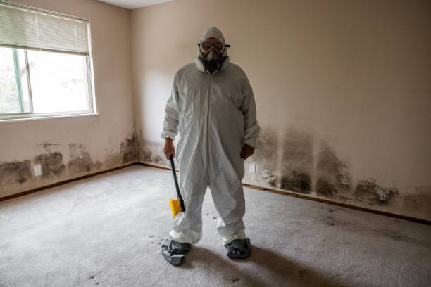 Best Commercial Mold Removal  in Hewitt, NJ